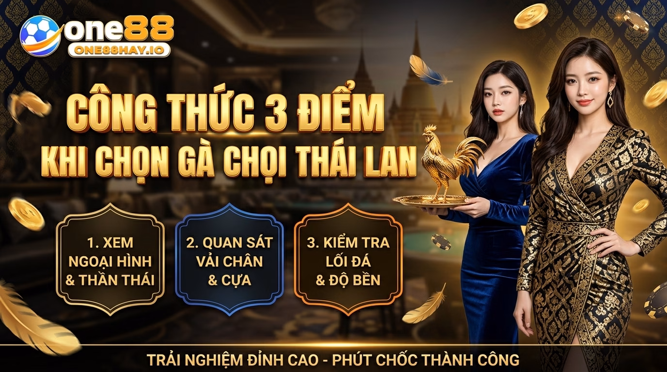 Công Thức Ba Cái Nhìn Khi Chọn Gà Đòn Thái