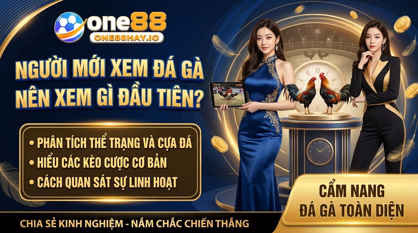Người Mới Xem Đá Gà Cựa Dao Nên Nhìn Vào Đâu Trước? Người Mới Xem Đá Gà Cựa Dao Nên Nhìn Vào Đâu Trước?