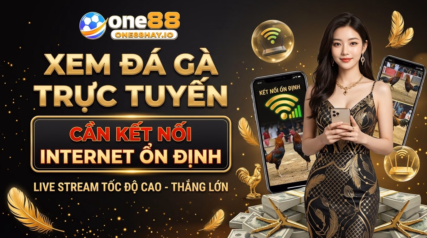 Xem Đá Gà Online Cần Đường Truyền Ổn